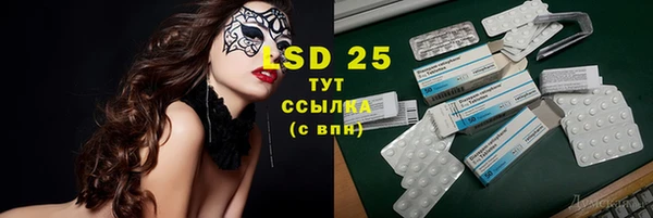 стаф Осташков